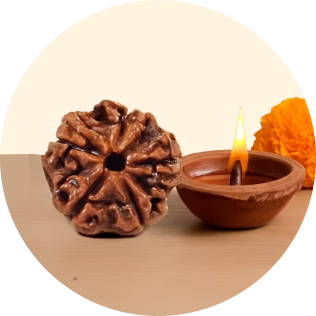 Siddh Rudraksha