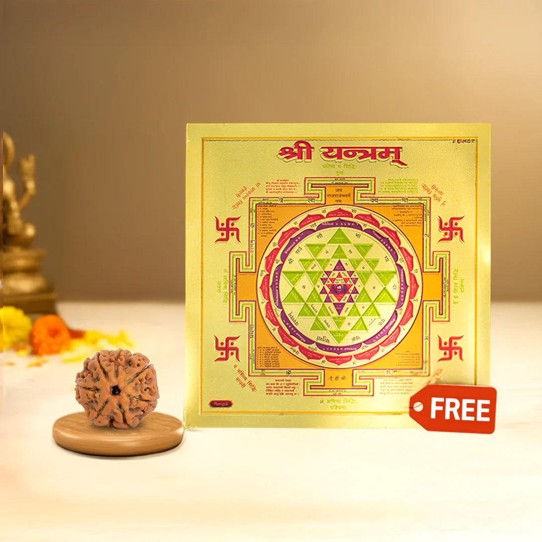 7 Mukhi Rudraksha with FREE Shree Yantra (6*6 inch)